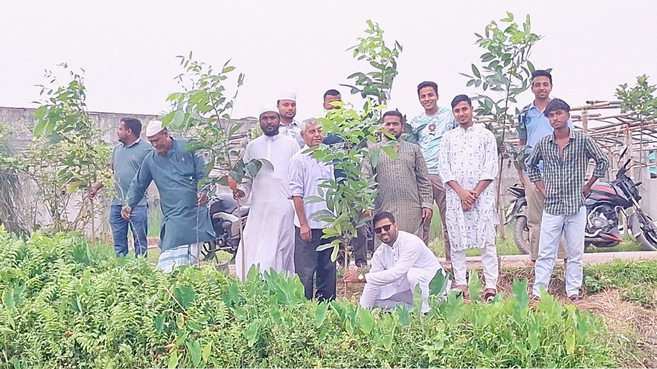 কটিয়াদীর মসূয়ার আমতলী সড়কের ‘আস্থা’র শতাধিক বৃক্ষরোপণ