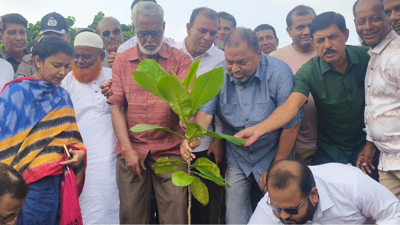 হোসেনপুরে বৃক্ষরোপণ কর্মসূচির উদ্বোধন করেন এমপি মাজহারুল ইসলাম