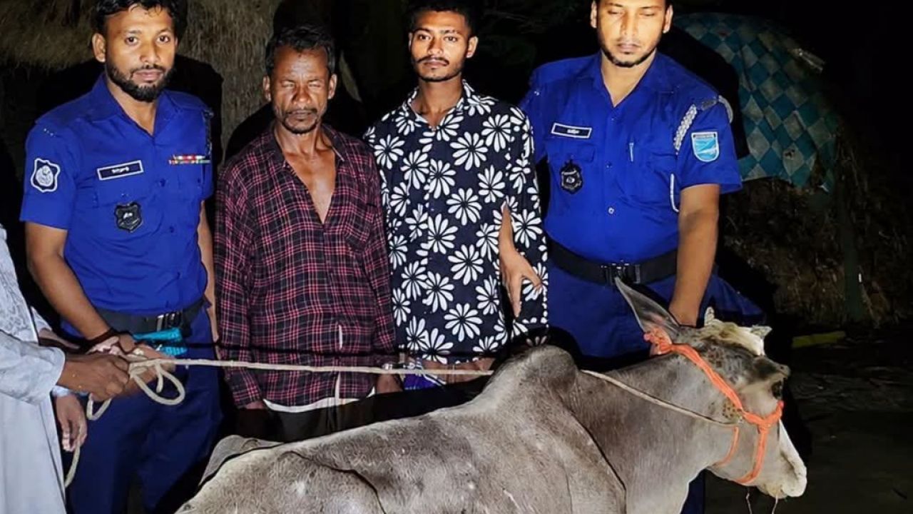 গরুসহ কটিয়াদীতে চোরচক্রের দুই সদস্য গ্রেপ্তার